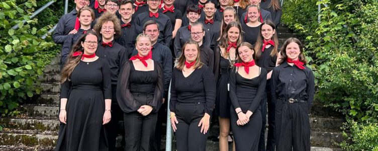 Sensationeller 2. Platz beim BwMusix 2024